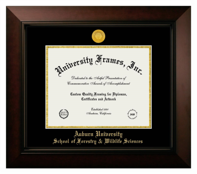 Diploma Frame in Legacy Black Cherry with Black & Gold Mats for DOCUMENT: 8 1/2"H X 11"W  