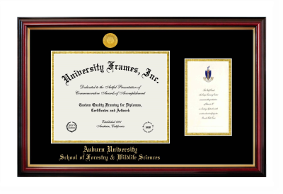 Diploma with Announcement Frame in Petite Mahogany with Gold Trim with Black & Gold Mats for DOCUMENT: 8 1/2"H X 11"W  ,  7"H X 4"W  