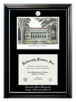 Double Opening with Campus Image (Stacked) Frame in Classic Ebony with Silver Trim with Black & Silver Mats for DOCUMENT: 8 1/2"H X 11"W  