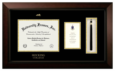 Diploma with Announcement & Tassel Box Frame in Legacy Black Cherry with Black & Gold Mats for DOCUMENT: 8 1/2"H X 11"W  ,  7"H X 4"W  