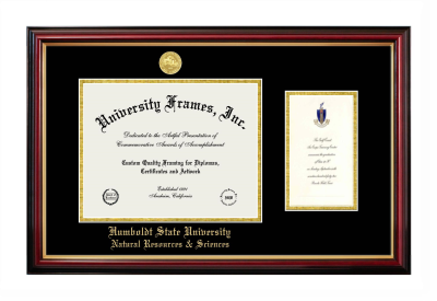 Diploma with Announcement Frame in Petite Mahogany with Gold Trim with Black & Gold Mats for DOCUMENT: 8 1/2"H X 11"W  ,  7"H X 4"W  