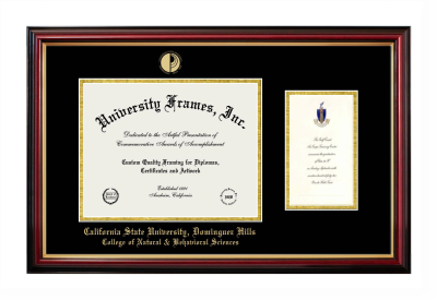 Diploma with Announcement Frame in Petite Mahogany with Gold Trim with Black & Gold Mats for DOCUMENT: 8 1/2"H X 11"W  ,  7"H X 4"W  