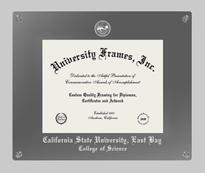 Lucent Clear-over-Smoke Frame in Lucent Smoke Moulding with Lucent Smoke Mat for DOCUMENT: 8 1/2"H X 11"W  