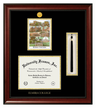 Double Opening with Campus Image & Tassel Box (Stacked) Frame in Avalon Mahogany with Black & Gold Mats for DOCUMENT: 8 1/2"H X 11"W  