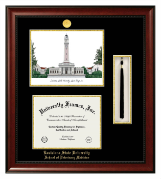 Double Opening with Campus Image & Tassel Box (Stacked) Frame in Avalon Mahogany with Black & Gold Mats for DOCUMENT: 8 1/2"H X 11"W  