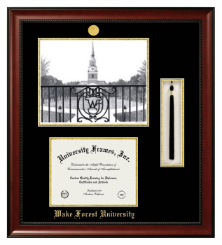 Double Opening with Campus Image & Tassel Box (Stacked) Frame in Avalon Mahogany with Black & Gold Mats for DOCUMENT: 8 1/2"H X 11"W  