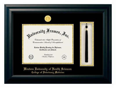 Diploma with Tassel Box Frame in Satin Black with Black & Gold Mats for DOCUMENT: 8 1/2"H X 11"W  