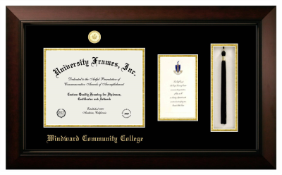 Diploma with Announcement & Tassel Box Frame in Legacy Black Cherry with Black & Gold Mats for DOCUMENT: 8 1/2"H X 11"W  ,  7"H X 4"W  