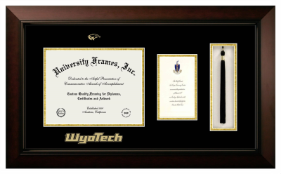 Diploma with Announcement & Tassel Box Frame in Legacy Black Cherry with Black & Gold Mats for DOCUMENT: 8 1/2"H X 11"W  ,  7"H X 4"W  