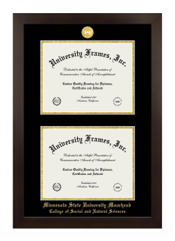 Double Degree (Stacked) Frame in Manhattan Espresso with Black & Gold Mats for DOCUMENT: 8 1/2"H X 11"W  , DOCUMENT: 8 1/2"H X 11"W  