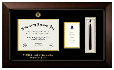 Diploma with Announcement & Tassel Box Frame in Legacy Black Cherry with Black & Gold Mats for DOCUMENT: 8 1/2"H X 11"W  ,  7"H X 4"W  