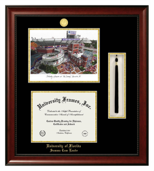 Double Opening with Campus Image & Tassel Box (Stacked) Frame in Avalon Mahogany with Black & Gold Mats for DOCUMENT: 8 1/2"H X 11"W  