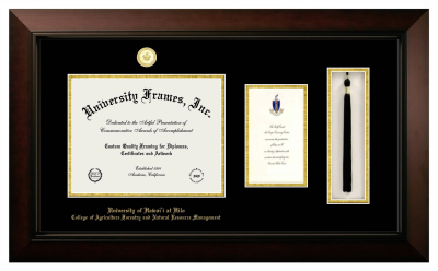 Diploma with Announcement & Tassel Box Frame in Legacy Black Cherry with Black & Gold Mats for DOCUMENT: 8 1/2"H X 11"W  ,  7"H X 4"W  