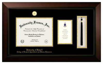 Diploma with Announcement & Tassel Box Frame in Legacy Black Cherry with Black & Gold Mats for DOCUMENT: 8 1/2"H X 11"W  ,  7"H X 4"W  