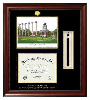 Double Opening with Campus Image & Tassel Box (Stacked) Frame in Avalon Mahogany with Black & Gold Mats for DOCUMENT: 8 1/2"H X 11"W  