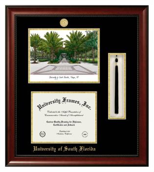 Double Opening with Campus Image & Tassel Box (Stacked) Frame in Avalon Mahogany with Black & Gold Mats for DOCUMENT: 8 1/2"H X 11"W  