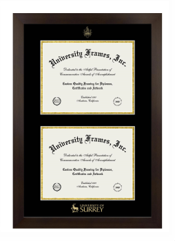 Double Degree (Stacked) Frame in Manhattan Espresso with Black & Gold Mats for DOCUMENT: 8 1/2"H X 11"W  , DOCUMENT: 8 1/2"H X 11"W  