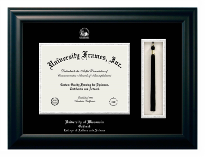 Diploma with Tassel Box Frame in Satin Black with Black & Silver Mats for DOCUMENT: 8 1/2"H X 11"W  