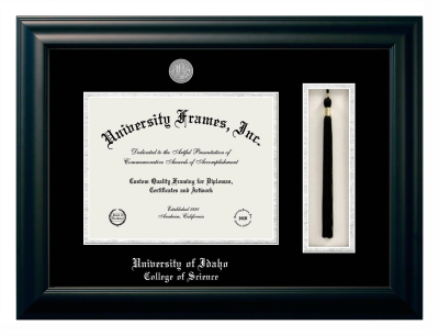 Diploma with Tassel Box Frame in Satin Black with Black & Silver Mats for DOCUMENT: 8 1/2"H X 11"W  