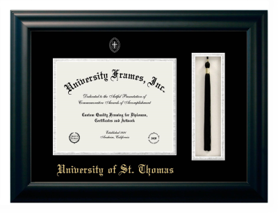 Diploma with Tassel Box Frame in Satin Black with Black & Silver Mats for DOCUMENT: 8 1/2"H X 11"W  