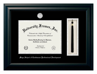 Diploma with Tassel Box Frame in Satin Black with Black & Silver Mats for DOCUMENT: 8 1/2"H X 11"W  