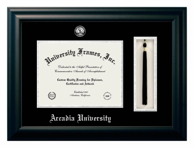 Diploma with Tassel Box Frame in Satin Black with Black & Silver Mats for DOCUMENT: 8 1/2"H X 11"W  