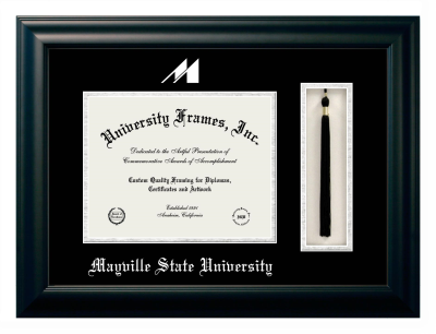 Diploma with Tassel Box Frame in Satin Black with Black & Silver Mats for DOCUMENT: 8 1/2"H X 11"W  