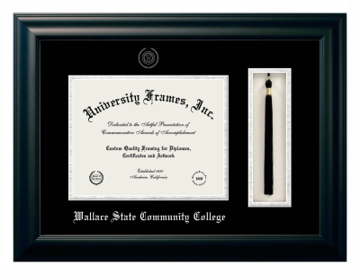 Diploma with Tassel Box Frame in Satin Black with Black & Silver Mats for DOCUMENT: 8 1/2"H X 11"W  