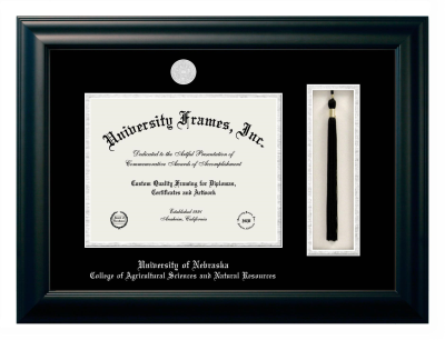 Diploma with Tassel Box Frame in Satin Black with Black & Silver Mats for DOCUMENT: 8 1/2"H X 11"W  