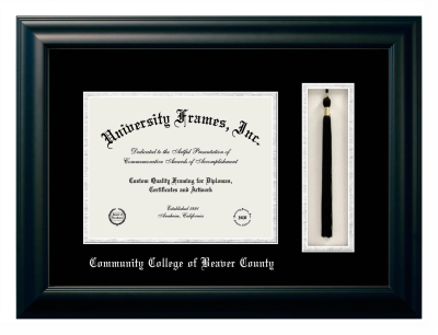 Diploma with Tassel Box Frame in Satin Black with Black & Silver Mats for DOCUMENT: 8 1/2"H X 11"W  