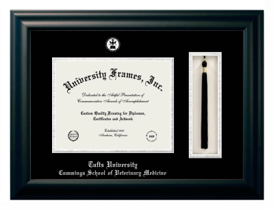 Diploma with Tassel Box Frame in Satin Black with Black & Silver Mats for DOCUMENT: 8 1/2"H X 11"W  