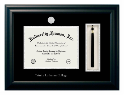 Diploma with Tassel Box Frame in Satin Black with Black & Silver Mats for DOCUMENT: 8 1/2"H X 11"W  