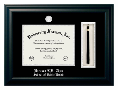 Diploma with Tassel Box Frame in Satin Black with Black & Silver Mats for DOCUMENT: 8 1/2"H X 11"W  