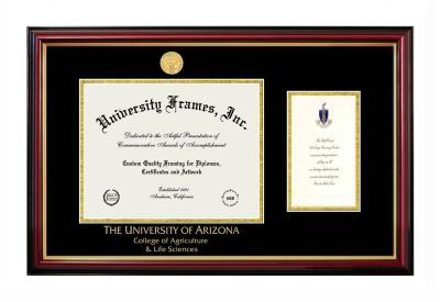 Diploma with Announcement Frame in Petite Mahogany with Gold Trim with Black & Gold Mats for DOCUMENT: 8 1/2"H X 11"W  ,  7"H X 4"W  