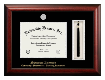 Diploma with Tassel Box Frame in Satin Mahogany with Black & Silver Mats for DOCUMENT: 8 1/2"H X 11"W  