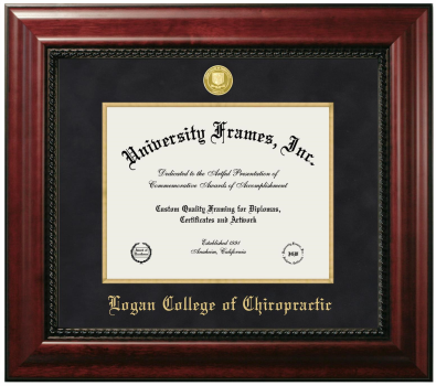 Diploma Frame in Executive with Gold Fillet with Black Suede Mat for DOCUMENT: 8 1/2"H X 11"W  