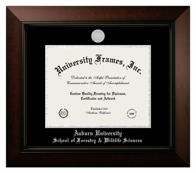 Diploma Frame in Legacy Black Cherry with Black & Silver Mats for DOCUMENT: 8 1/2"H X 11"W  