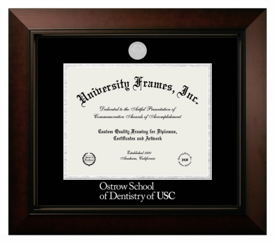 Diploma Frame in Legacy Black Cherry with Black & Silver Mats for DOCUMENT: 8 1/2"H X 11"W  