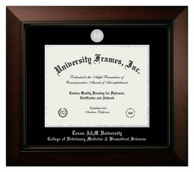 Diploma Frame in Legacy Black Cherry with Black & Silver Mats for DOCUMENT: 8 1/2"H X 11"W  