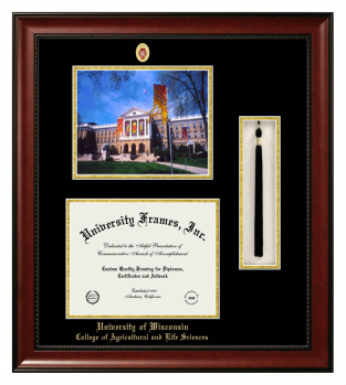 Double Opening with Campus Image & Tassel Box (Stacked) Frame in Avalon Mahogany with Black & Gold Mats for DOCUMENT: 8 1/2"H X 11"W  