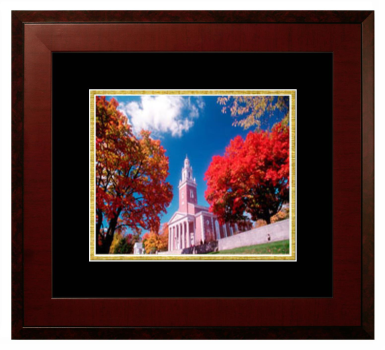 Lithograph Only Frame in Honors Mahogany with Black & Gold Mats