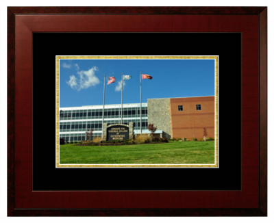 Lithograph Only Frame in Honors Mahogany with Black & Gold Mats