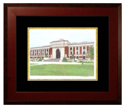 Lithograph Only Frame in Honors Mahogany with Black & Gold Mats