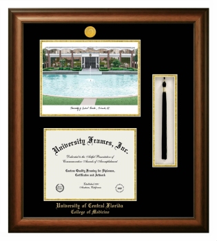 Double Opening with Campus Image & Tassel Box (Stacked) Frame in Satin Walnut with Black & Gold Mats for DOCUMENT: 8 1/2"H X 11"W  