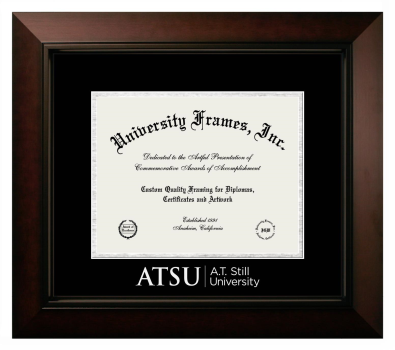 Diploma Frame in Legacy Black Cherry with Black & Silver Mats for DOCUMENT: 8 1/2"H X 11"W  