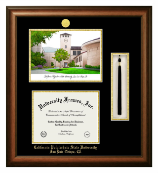 Double Opening with Campus Image & Tassel Box (Stacked) Frame in Satin Walnut with Black & Gold Mats for DOCUMENT: 8 1/2"H X 11"W  