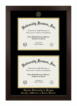 Double Degree (Stacked) Frame in Manhattan Espresso with Black & Gold Mats for DOCUMENT: 8 1/2"H X 11"W  , DOCUMENT: 8 1/2"H X 11"W  