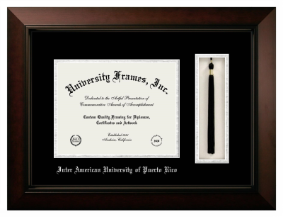 Diploma with Tassel Box Frame in Legacy Black Cherry with Black & Silver Mats for DOCUMENT: 8 1/2"H X 11"W  