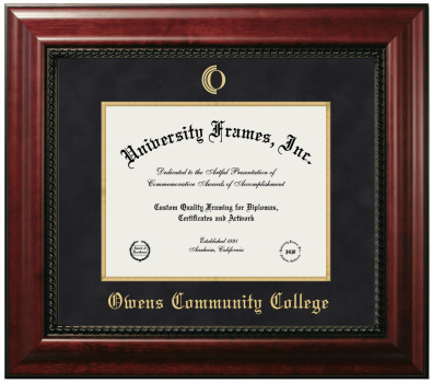 Diploma Frame in Executive with Gold Fillet with Black Suede Mat for DOCUMENT: 8 1/2"H X 11"W  