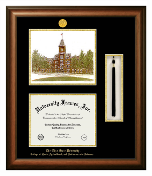 Double Opening with Campus Image & Tassel Box (Stacked) Frame in Satin Walnut with Black & Gold Mats for DOCUMENT: 8 1/2"H X 11"W  